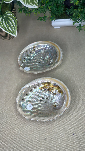 Abalone Shells with stand