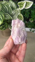 Raw Kunzite