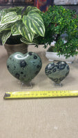 Kambaba Jasper Hearts