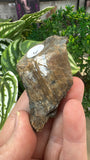 Bustamite