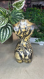 Picture Jasper Goddess