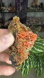 Crocoite From Adelaide Mine