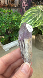 Small Amethyst Sceptres