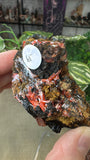 Crocoite from Red Lead Mine