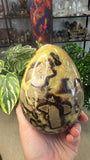 Septarian egg