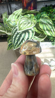 Crystal Mushrooms