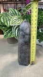 Black Tourmaline in Quartz Tower