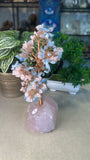 Rose Quartz and Aquamarine Money Tree