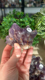 Amethyst Clusters