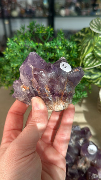 Amethyst Clusters