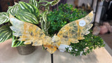 Golden Healer Heart with Wings