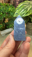 Blue Coral Fossil Points