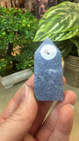 Blue Coral Fossil Points