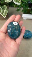 Blue Apatite Palm Stones