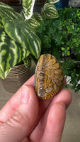 Tiger Eye Indian Head