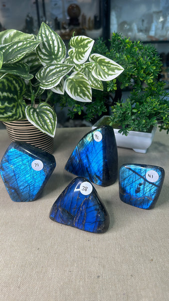 Labradorite Free Forms