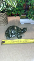 Green jade turtle