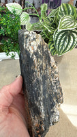 Black tourmaline with mica