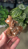 Raw Aragonite