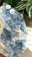 Blue Celestite Free form