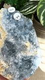 Blue Celestite Free form