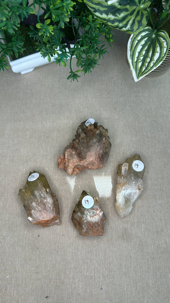 Kundalini Citrine clusters