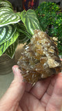 Raw Amber calcite