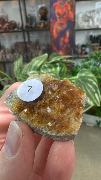 Citrine clusters