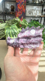 Purple mica dragon head