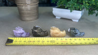 Dragon Heads