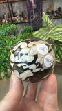 Peanut Wood Sphere