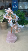 Rose Quartz and Aquamarine Money Tree