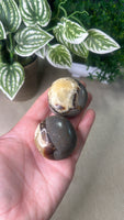 Septarian Palm Stones