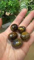 Tiger eye tumble stones medium