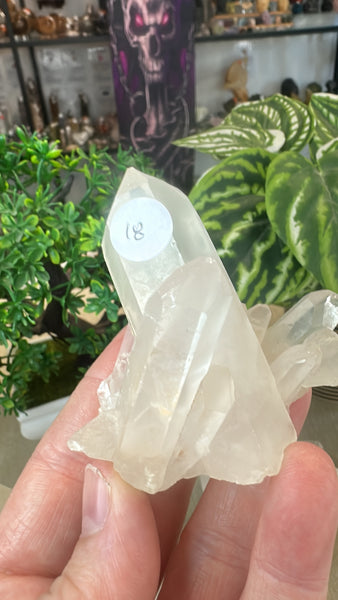 Clear Quartz Clusters