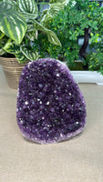 Amethyst Geode