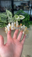 Crystal Crowns