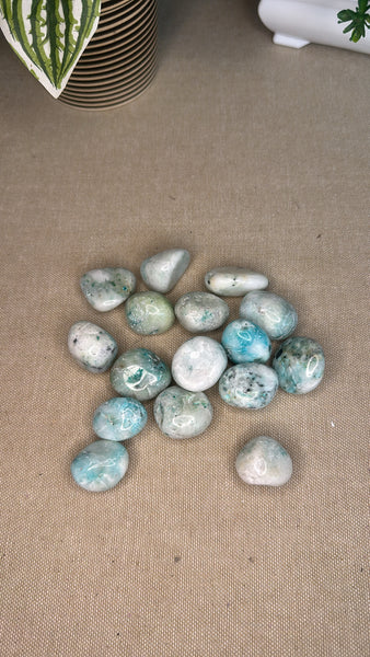 Phoenix Stone Tumbles