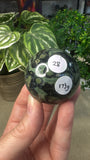 Kambaba Jasper Spheres