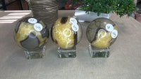 Septarian Spheres