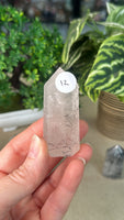 Black Tourmaline in Quartz points