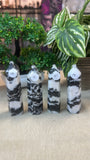 Zebra Jasper