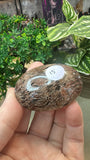 Thousand Layer Palm Stones