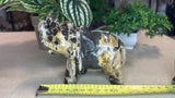 Picture Jasper Elephant