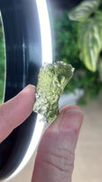 Hrbov Moldavite