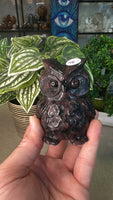 Garnet Owl