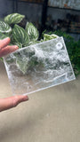 Selenite Slices