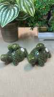 Green jade turtle with babies (small)