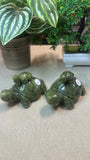 Green jade turtle with babies (small)