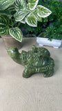 Green Jade Turtle Mother and Baby